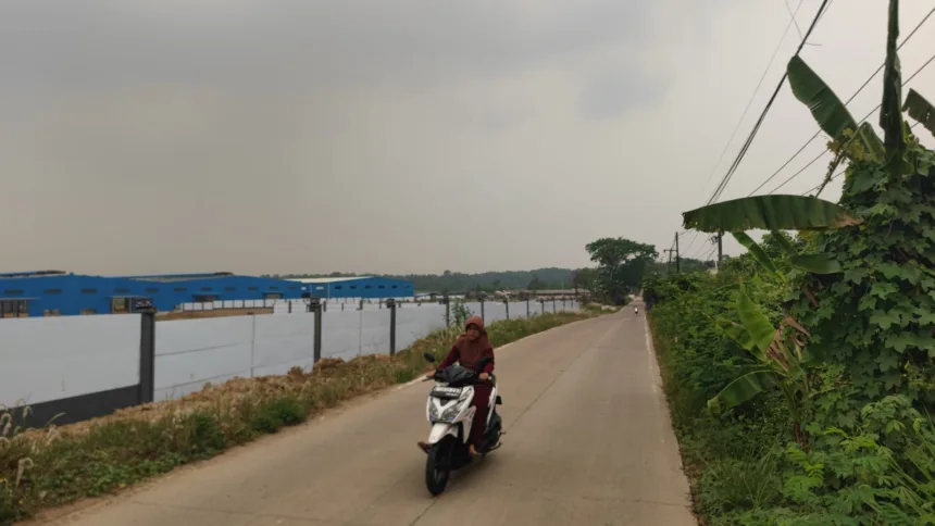 Tunjung Teja
