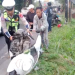 Pohon tumbang