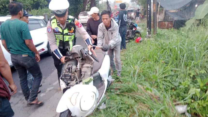 Pohon tumbang