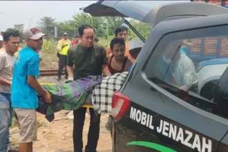 TRUK PENGANGKUT AYAM