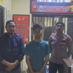 tembakau sintetis