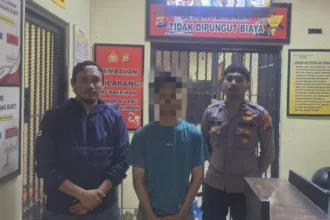 tembakau sintetis