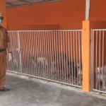Kabupaten Serang