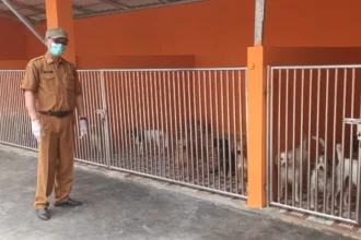 Kabupaten Serang