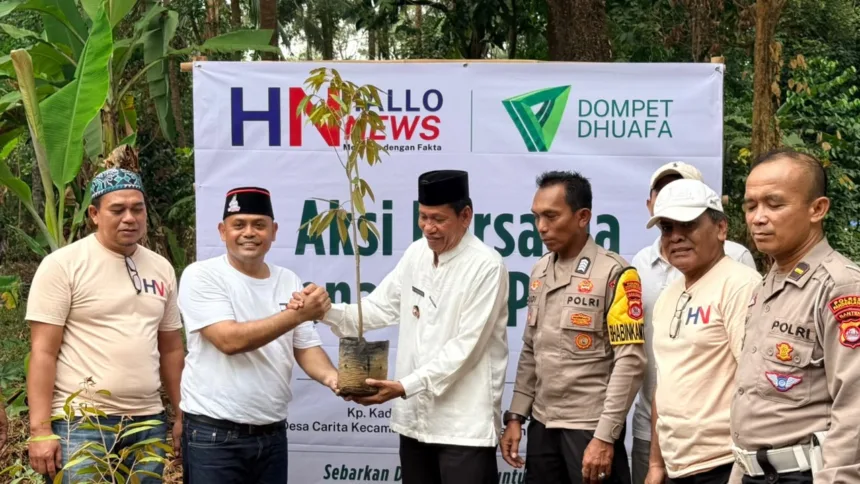 Hallonews