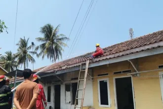 kontrakan